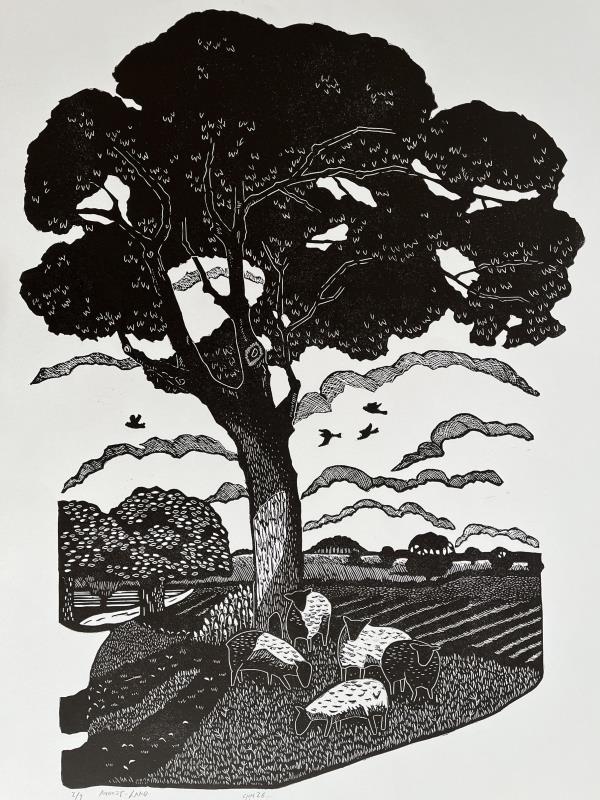 August-Land